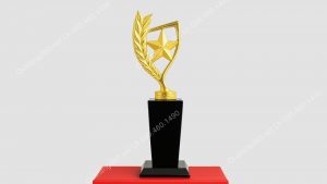 Cúp ngôi sao bông lúa