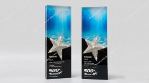 kỷ niệm chương trao giải top 500 doanh nghiệp